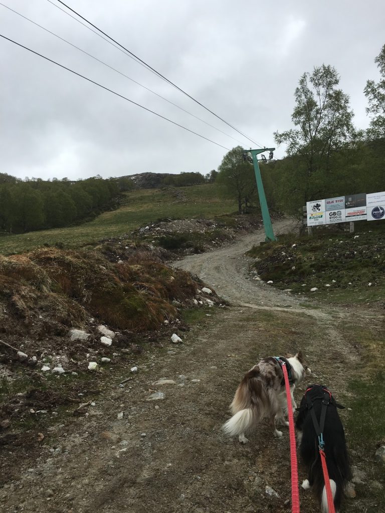 vallresknuten