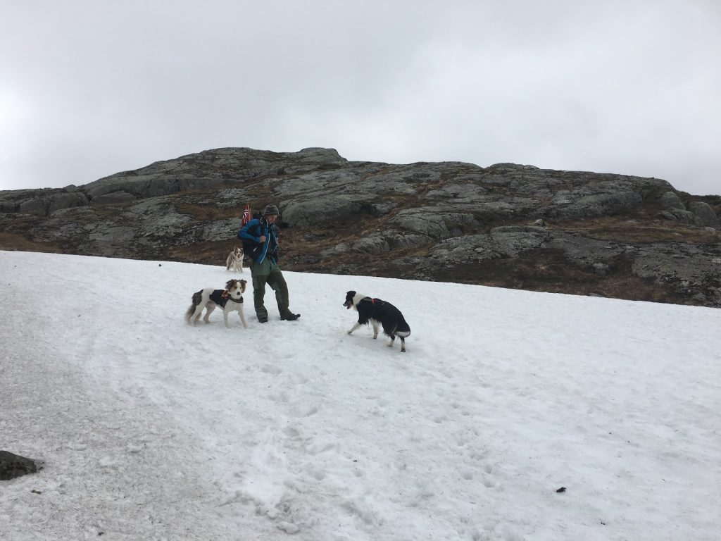 vallresknuten