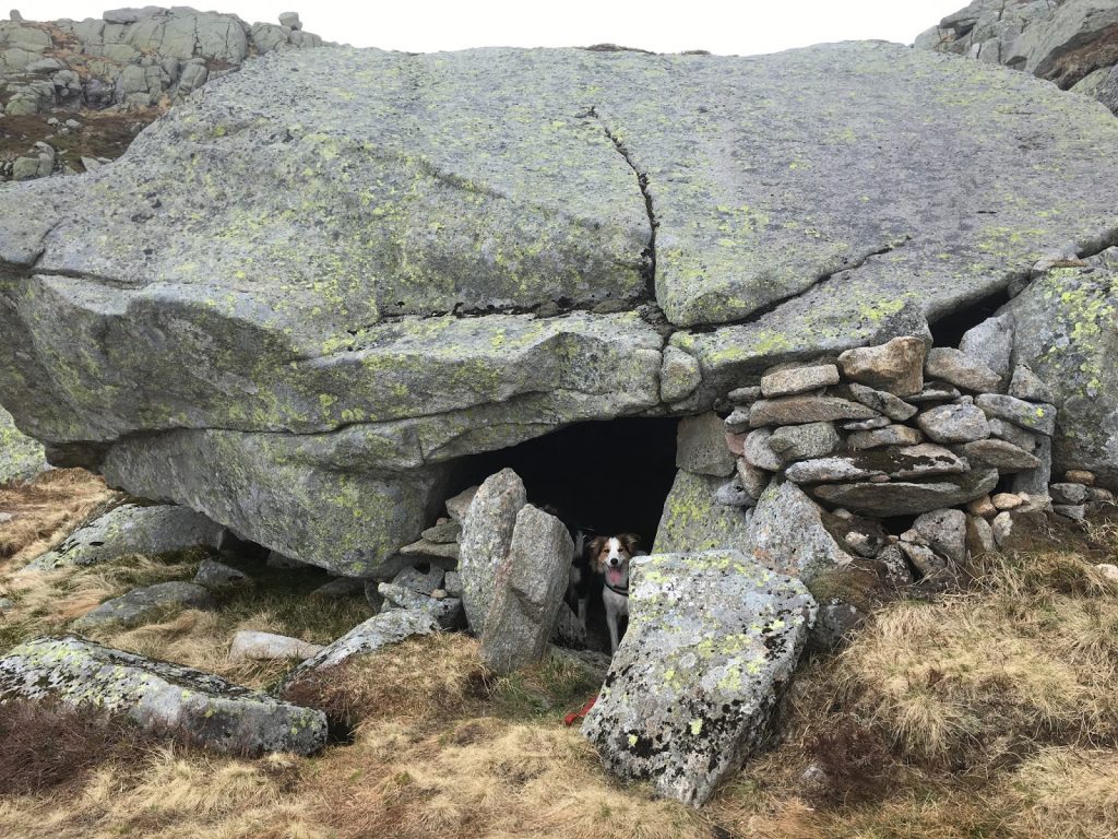vallresknuten