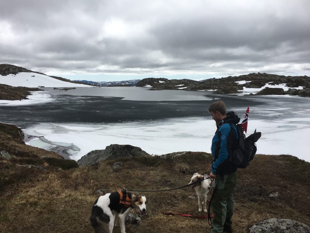 vallresknuten