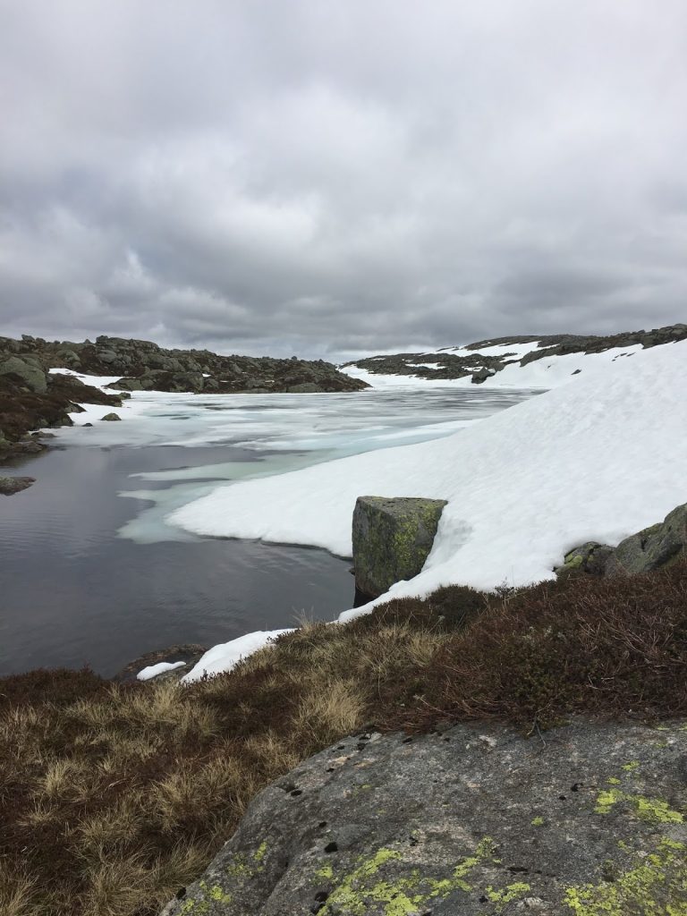 vallresknuten
