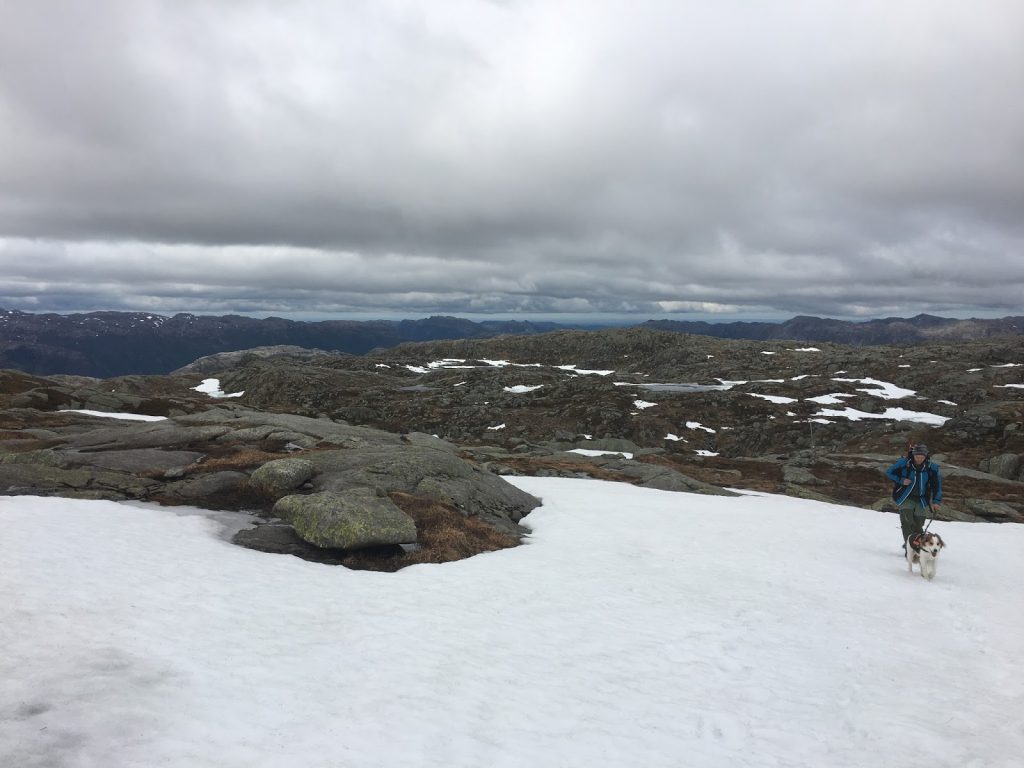 vallresknuten