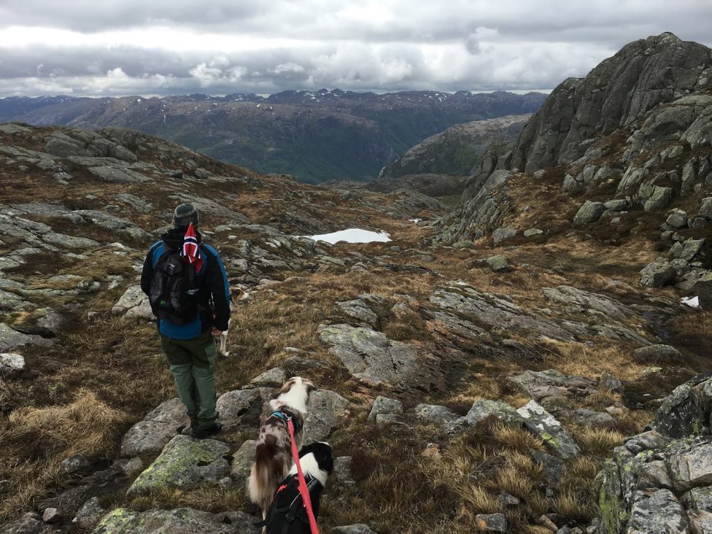 vallresknuten