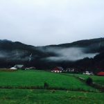 Agilitystevne i Ølen oktober 2016