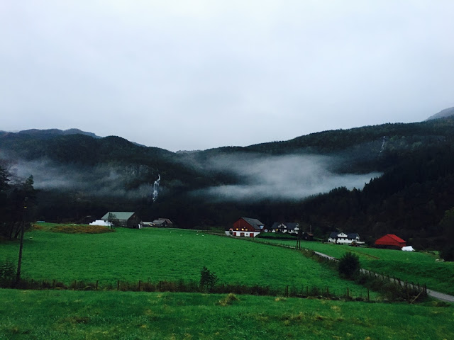 Agilitystevne i Ølen oktober 2016