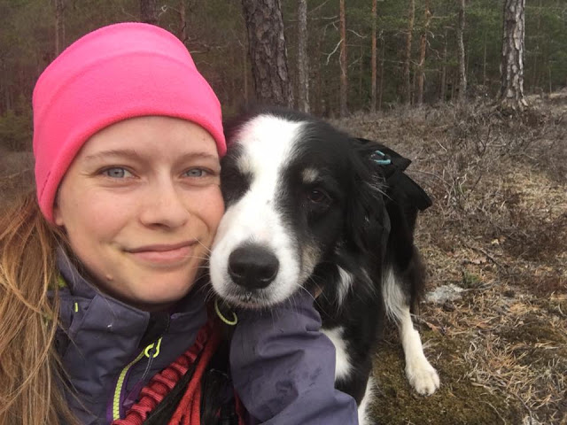 seniorhunden isabelle bella