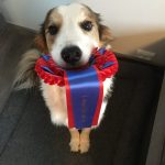 retrieve