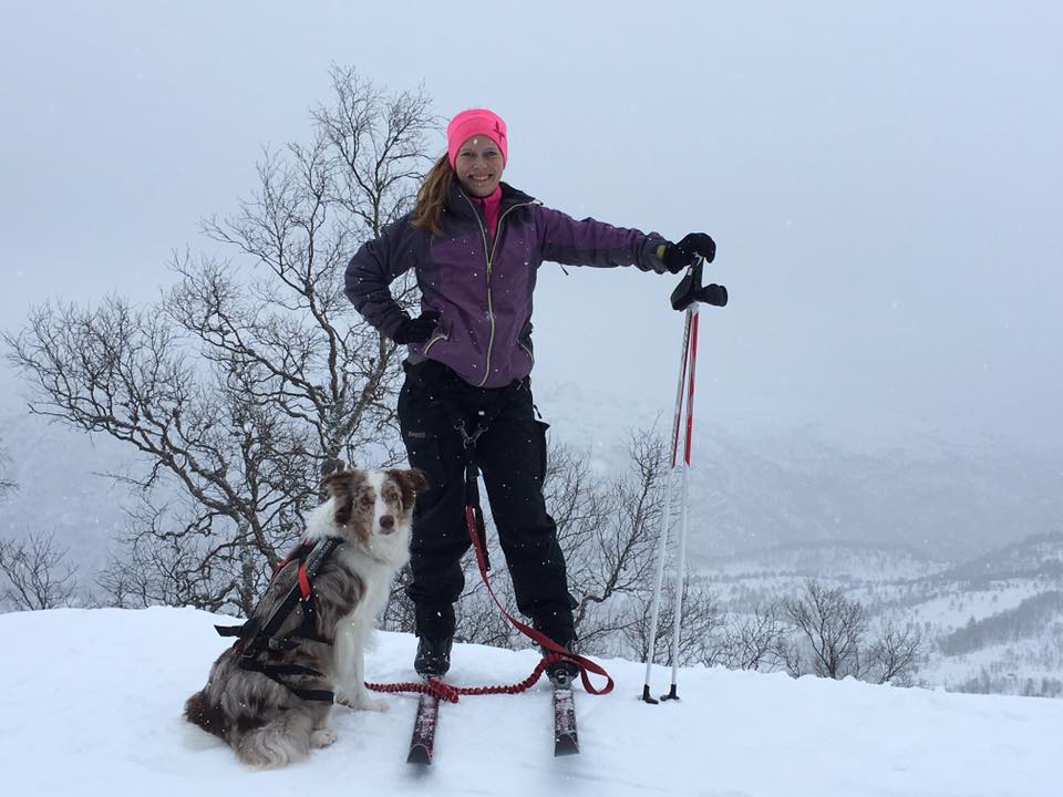 skiing with your dog