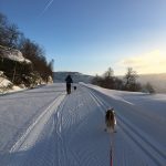 skitur med hund