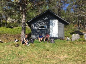 øyane
