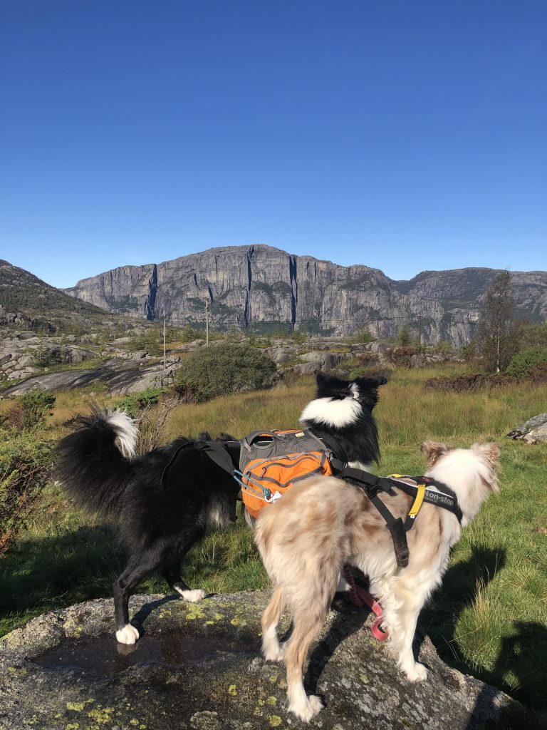 Prekestolen på andre siden