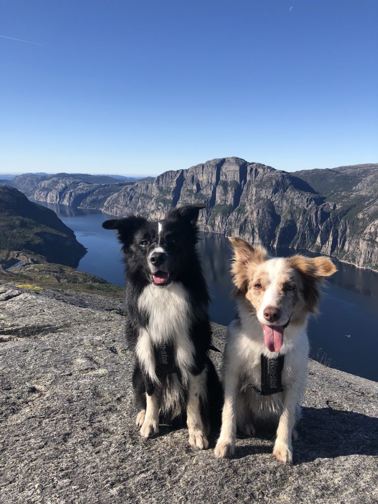 På toppen av Sollifjellet en solskinnsdag