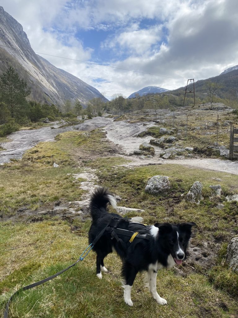 Vigesdalen