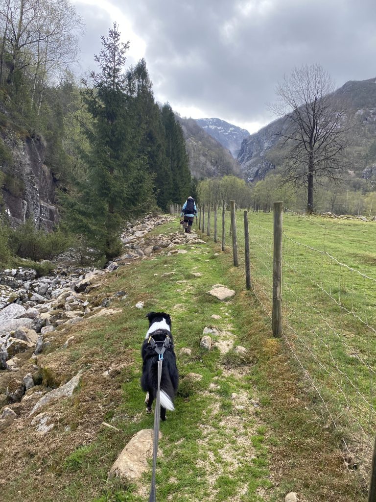 Vigesdalen
