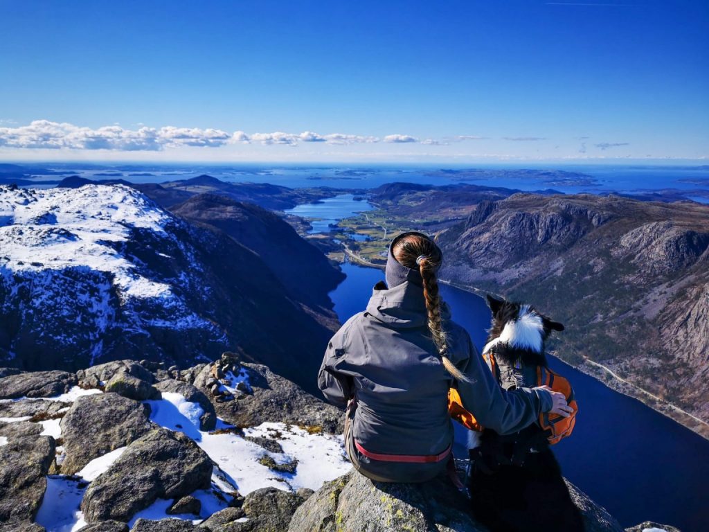reinaknuten