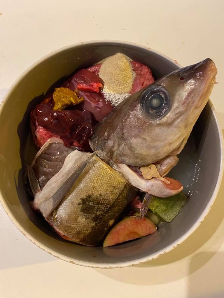 Homemade rawfood for my senior dog