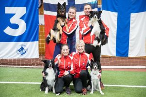 Nordisk Agility Mesterskap Lag Large Norge