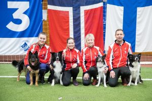 Nordisk Agility Mesterskap Lag Large Norge