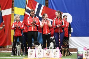 Nordisk Agility Mesterskap Lag Large Sølv