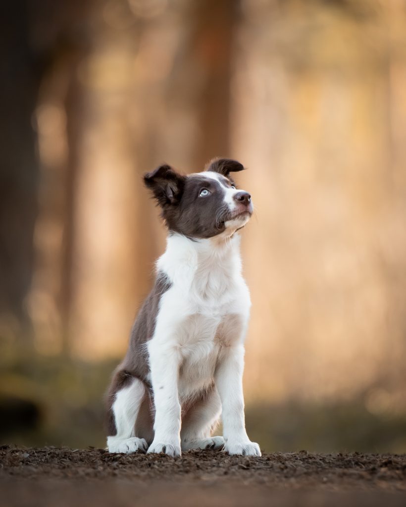 Neo looking up at in the forrest